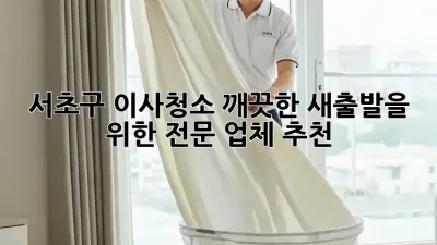 서초구 이사청소: 깨끗한 새출발을 위한 전문 업체 추천